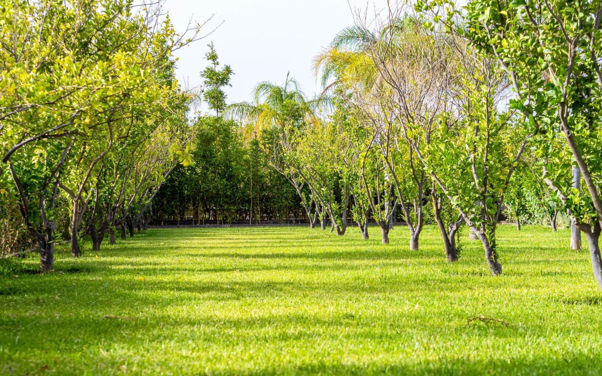 فندق The Lemonary Marrakech Ouled Moumen المظهر الخارجي الصورة
