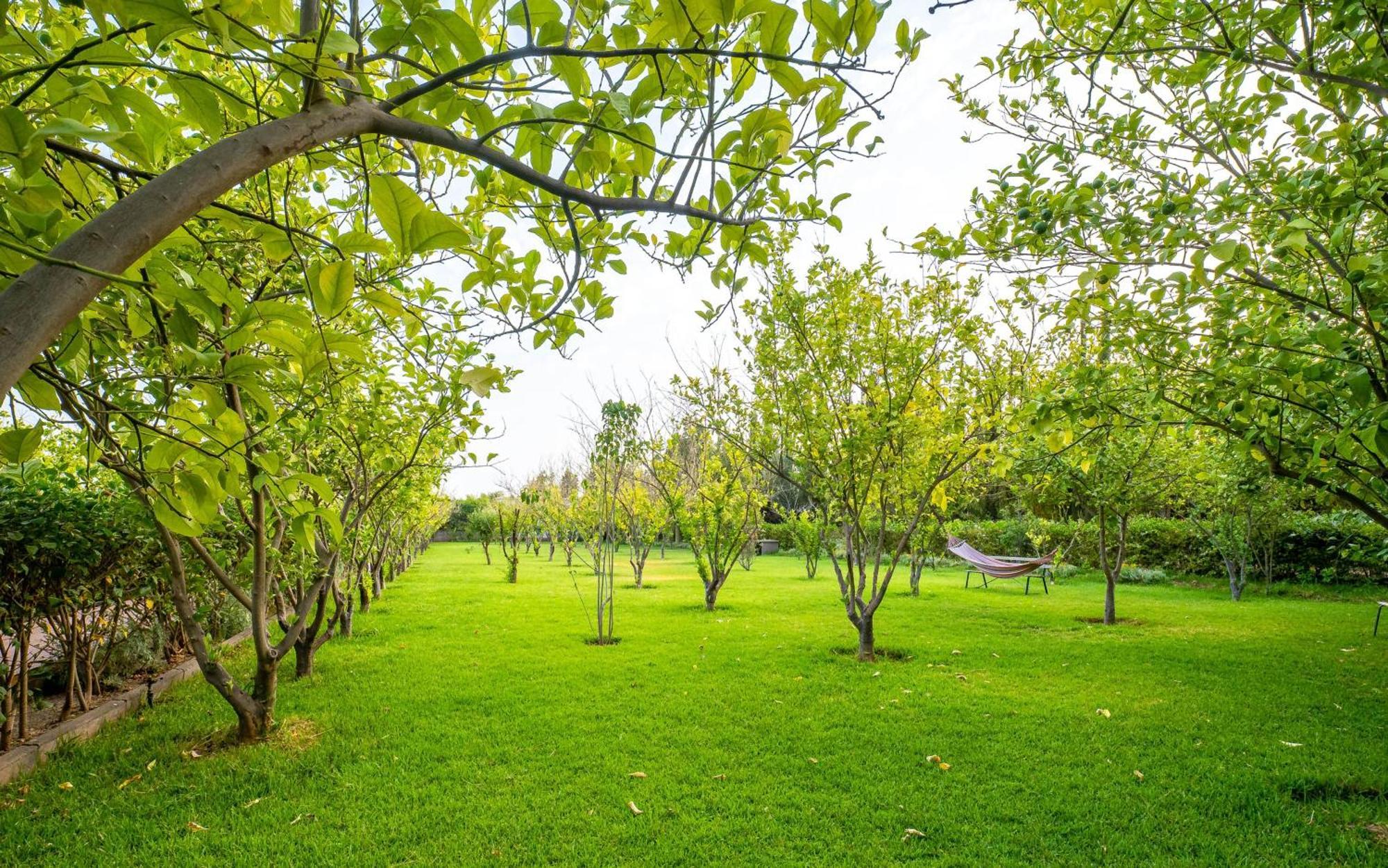 فندق The Lemonary Marrakech Ouled Moumen المظهر الخارجي الصورة