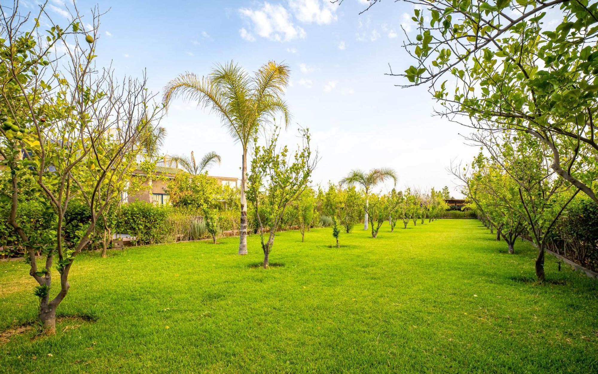 فندق The Lemonary Marrakech Ouled Moumen المظهر الخارجي الصورة