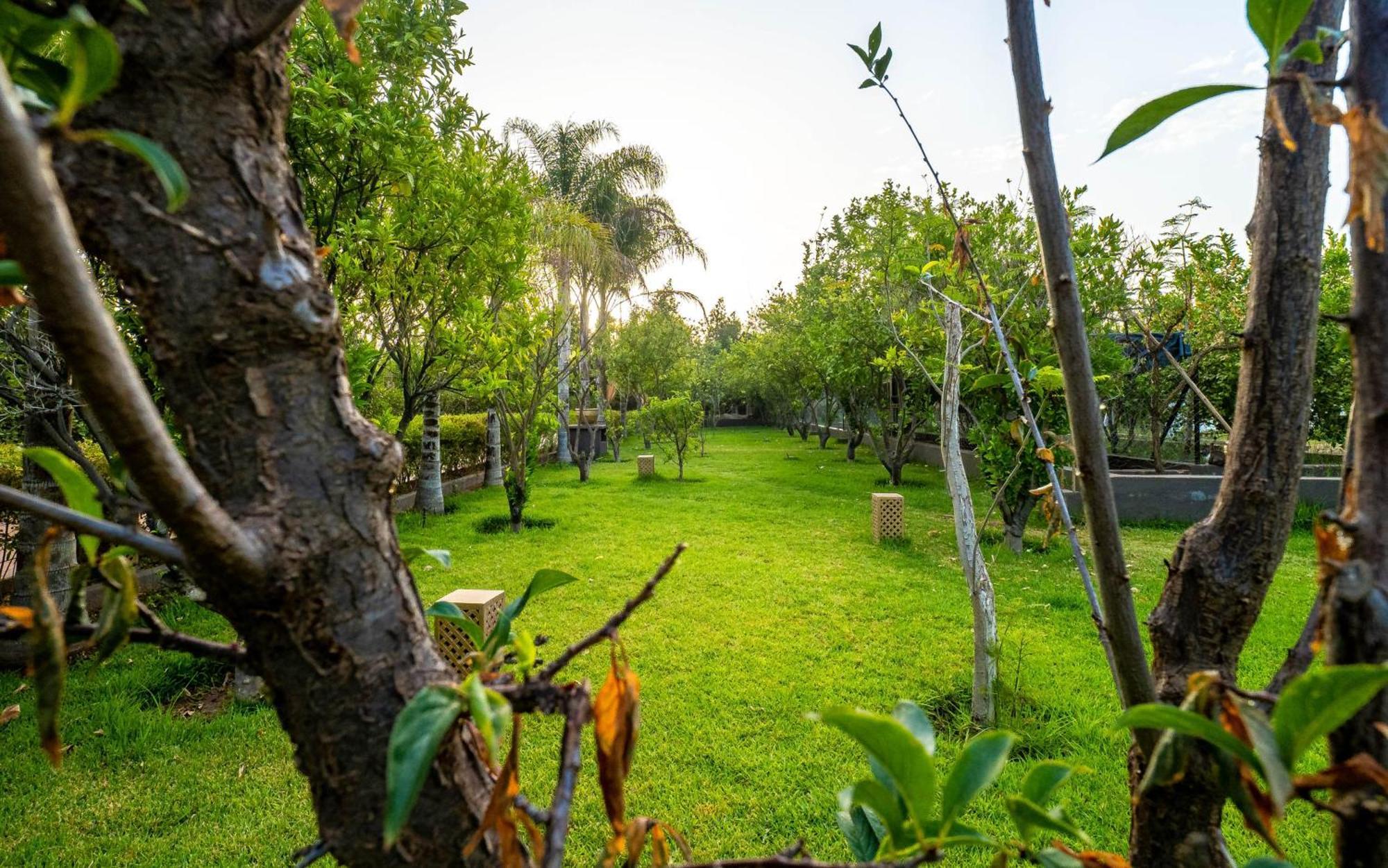فندق The Lemonary Marrakech Ouled Moumen المظهر الخارجي الصورة