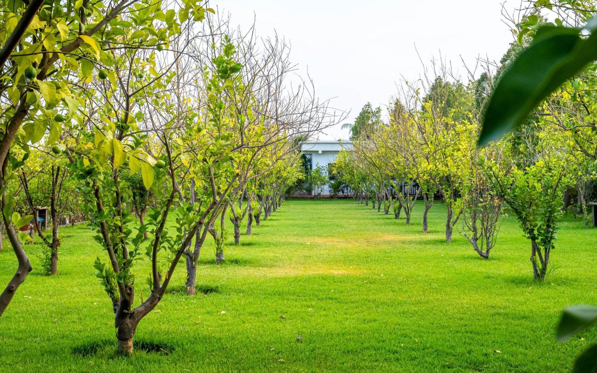 فندق The Lemonary Marrakech Ouled Moumen المظهر الخارجي الصورة