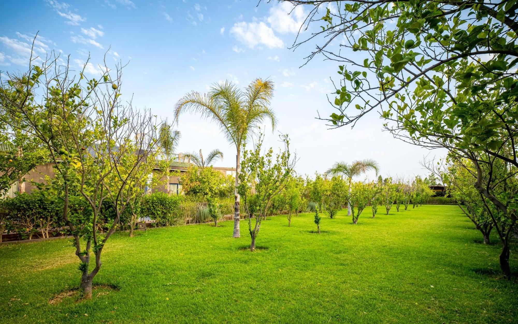 فندق The Lemonary Marrakech Ouled Moumen المظهر الخارجي الصورة
