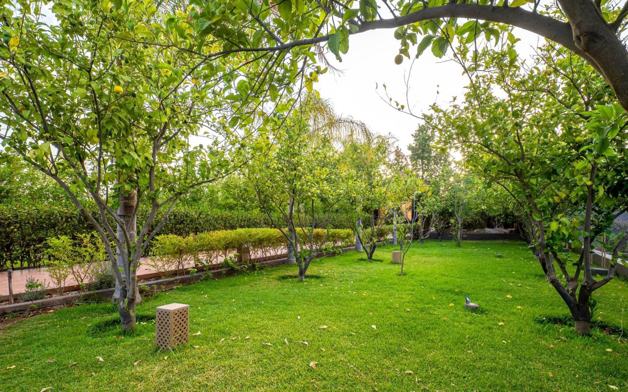 فندق The Lemonary Marrakech Ouled Moumen المظهر الخارجي الصورة