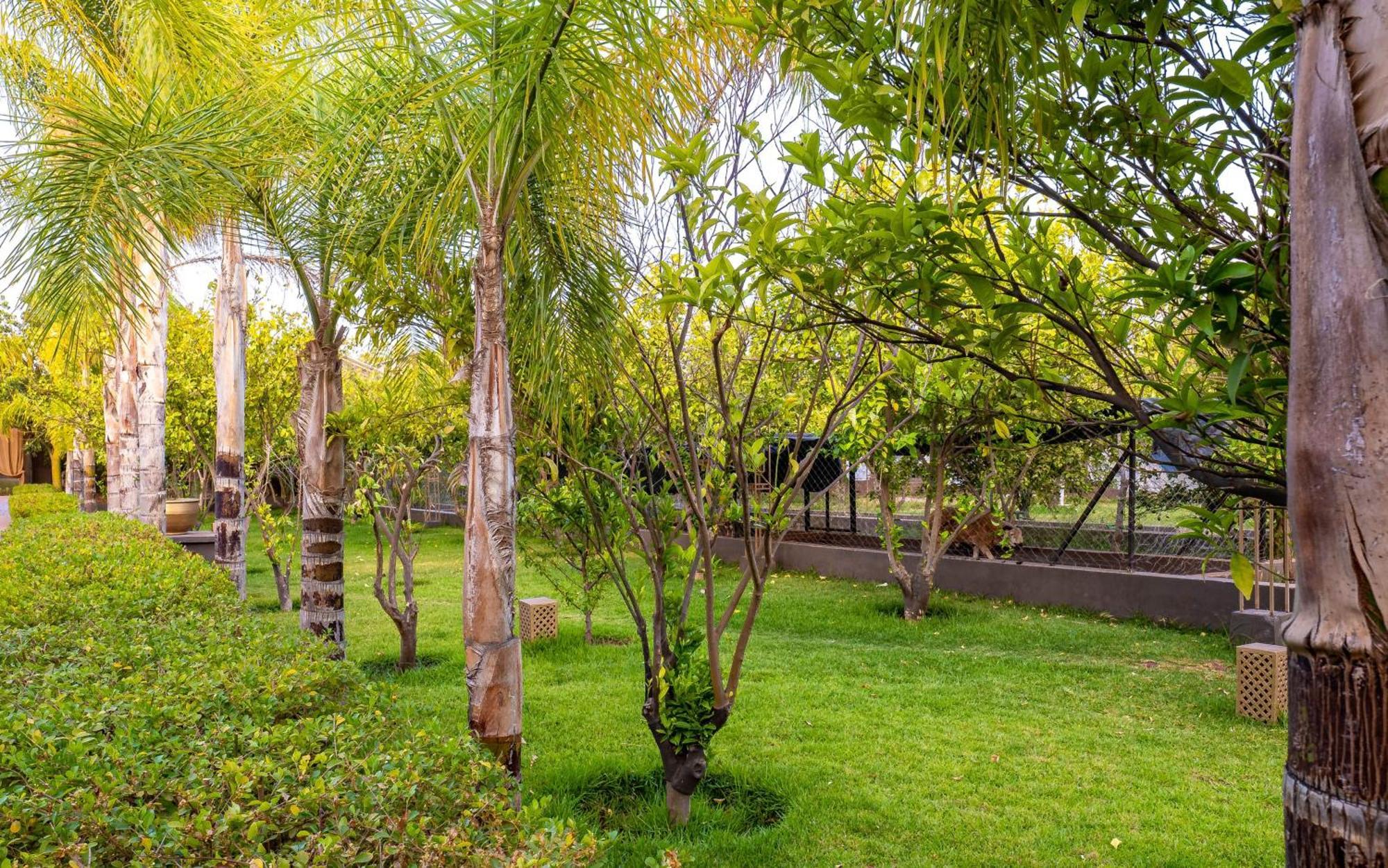 فندق The Lemonary Marrakech Ouled Moumen المظهر الخارجي الصورة